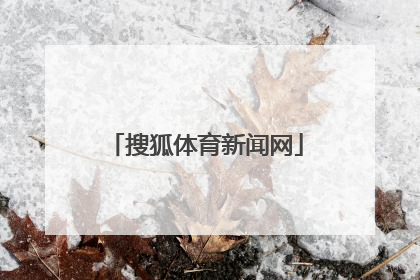 「搜狐体育新闻网」搜狐体育手机新闻网