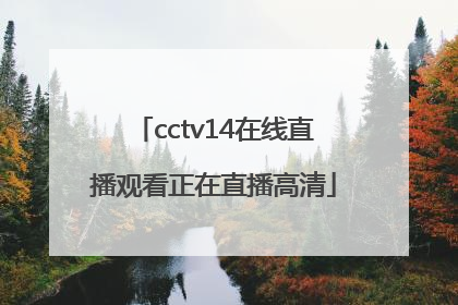 「cctv14在线直播观看正在直播高清」央视频道在线直播观看