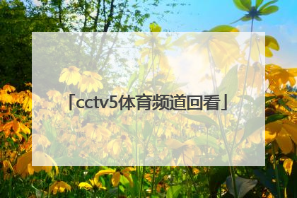 「cctv5体育频道回看」CCTV5体育频道节目单